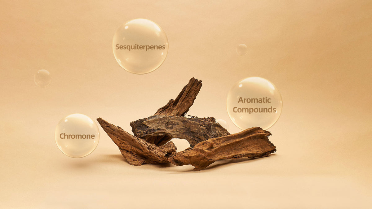 High-Purity Botanical Actives